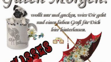 Bilder Von Einen Guten Abend Kostenlos