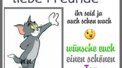 Bilder Von Fröhlichen Guten Morgen Kostenlos