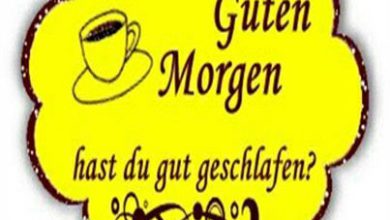 Bilder Von Guten Morgen Blumen Kostenlos