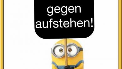 Bilder Von Guten Morgen Hund Kostenlos