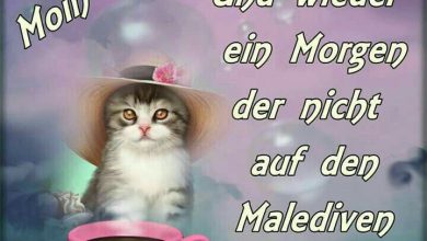 Bilder Von Guten Morgen Mein Engel Bilder Kostenlos