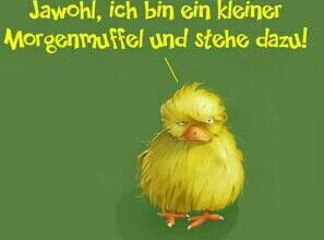 Bilder Von Schönen Guten Morgen Kaffee Kostenlos