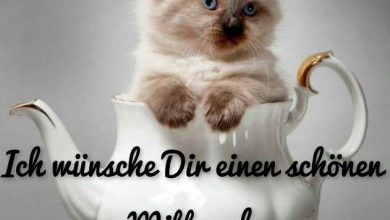 Bilder Von Sprüche Am Morgen Lustig Kostenlos