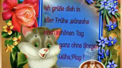 Google Guten Morgen Bilder