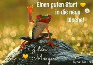 bilder von lustige bilder zum guten morgen kostenlos