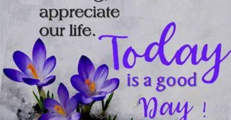 Flower morning wishes image Greetings Images