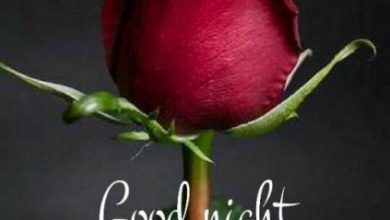 Is goodnight one word or two image