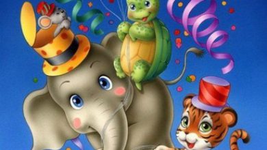 What is the best wishes for birthday Image