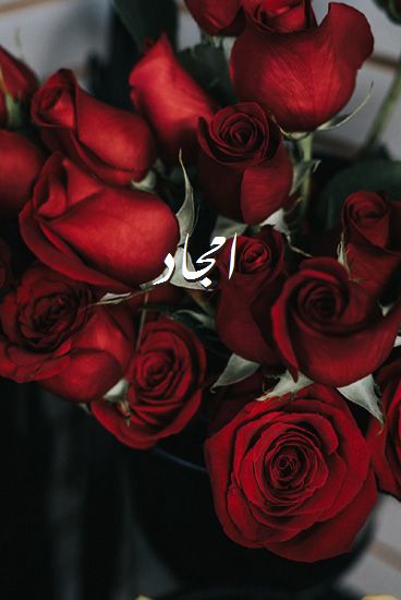 صور اسم امجاد صور رومانسية بالورد imagez
