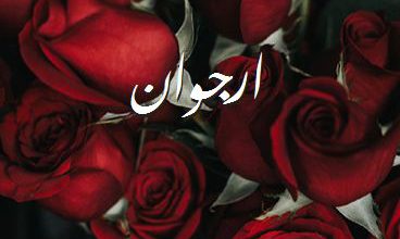 اسم ارجوان صور رومانسية بالورد