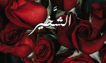 اسم الشَّخير صور رومانسية بالورد