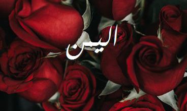 اسم اليمن صور رومانسية بالورد