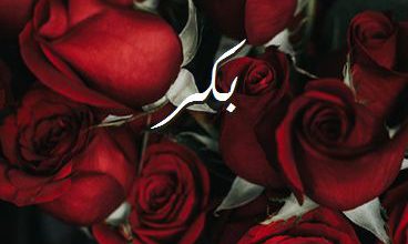 اسم بَكر صور رومانسية بالورد