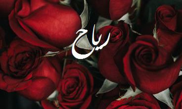 اسم رياح صور رومانسية بالورد