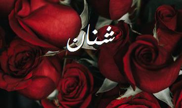 اسم شنان صور رومانسية بالورد