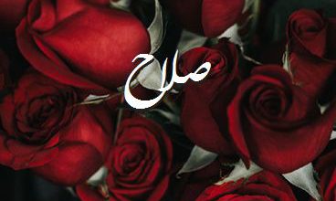 اسم صلاح صور رومانسية بالورد
