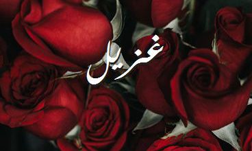 اسم غزيل صور رومانسية بالورد