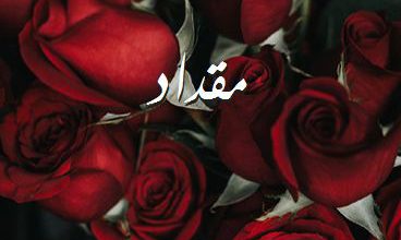 اسم مقداد صور رومانسية بالورد
