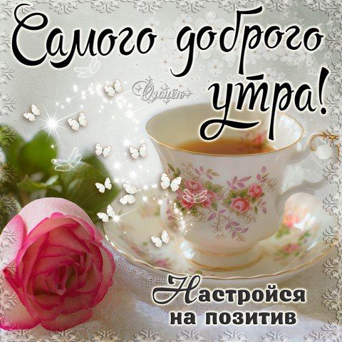 Фото С Добрым Утром Прикольные Новинки Фото С Добрым Утром Прикольные Новинки