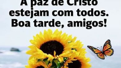 Boa Tarde Facebook Imagens