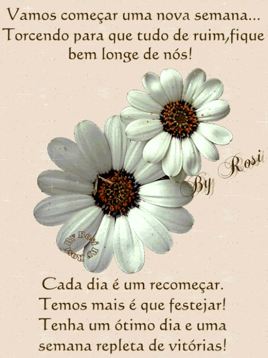 Bom Começo De Semana
