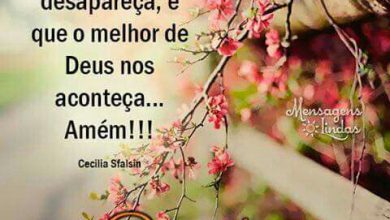 Bom Dia Jornal Para Facebook
