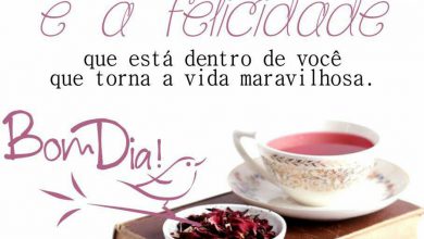 Desejando Um Bom Dia Especial Para Whatsapp