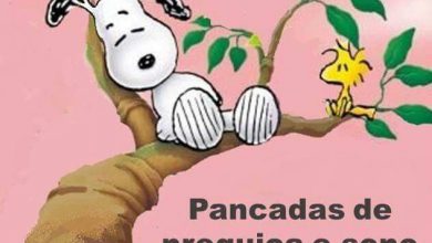 Frases De Bom Bom Dia Para Whatsapp