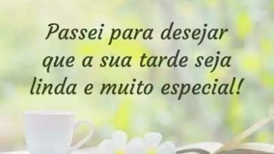 Frases Para Ter Uma Boa Tarde