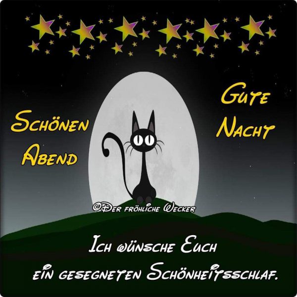 Download Gute Nacht Mein Schatz Free for Android - Gute Nacht Mein Schatz  APK Download - STEPrimo.com