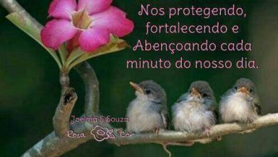 Semana Cheia De Bençãos