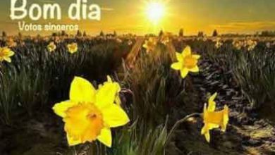 Um Bom Dia Para Facebook