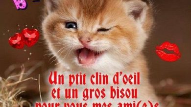 Le Bonjour Du Matin Bonjour Image