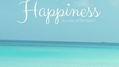 Summer Quotes Images image